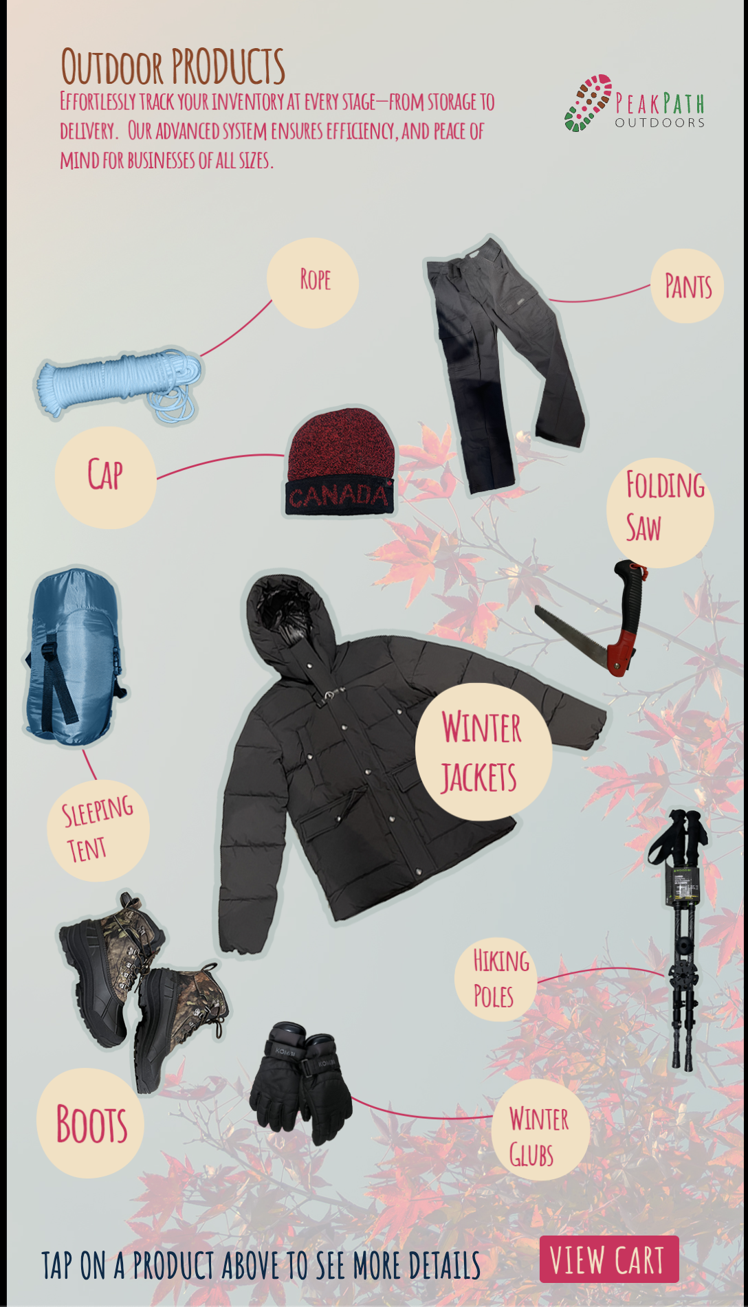 Animated Transitions